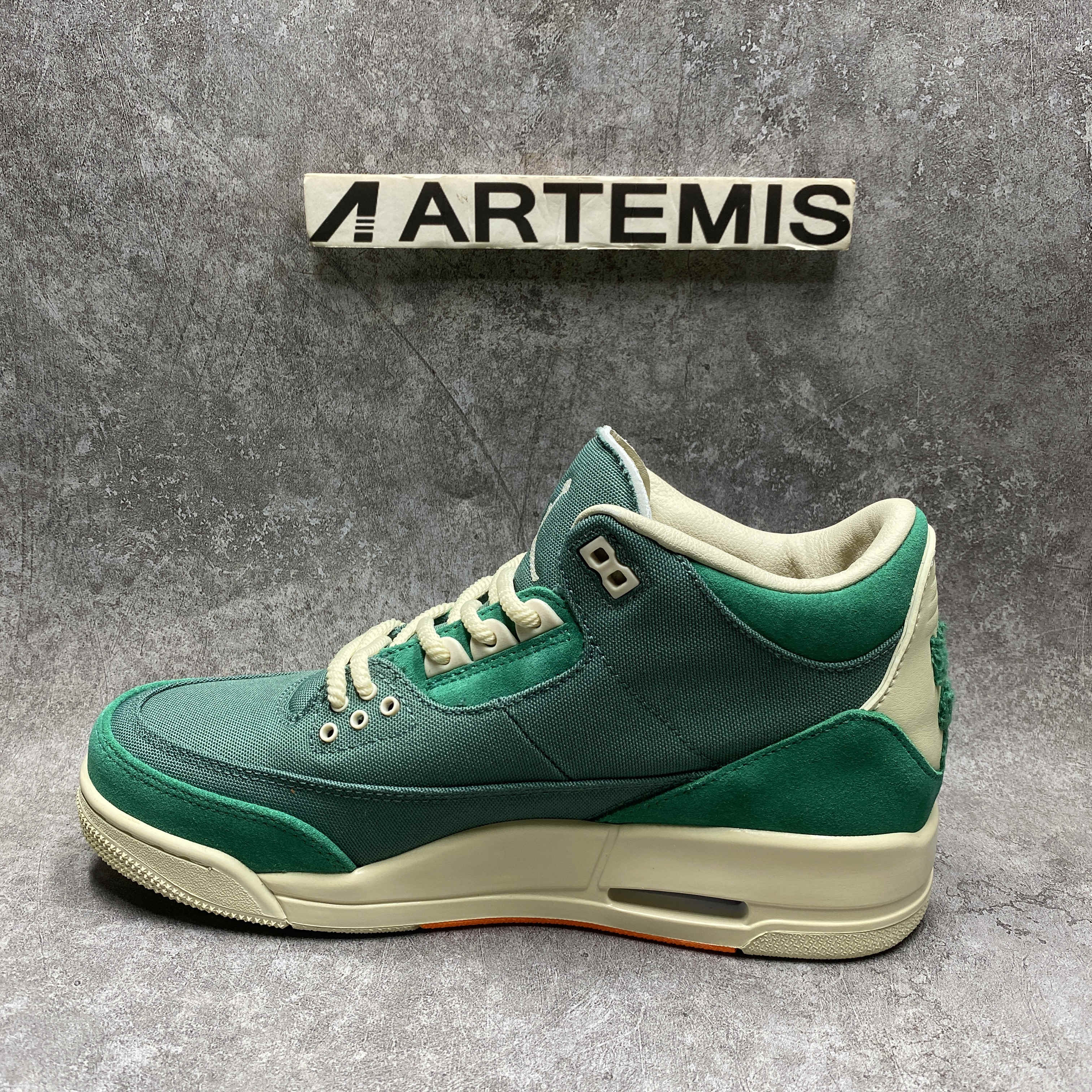 ua nina Ch*el abney x air jordan 3