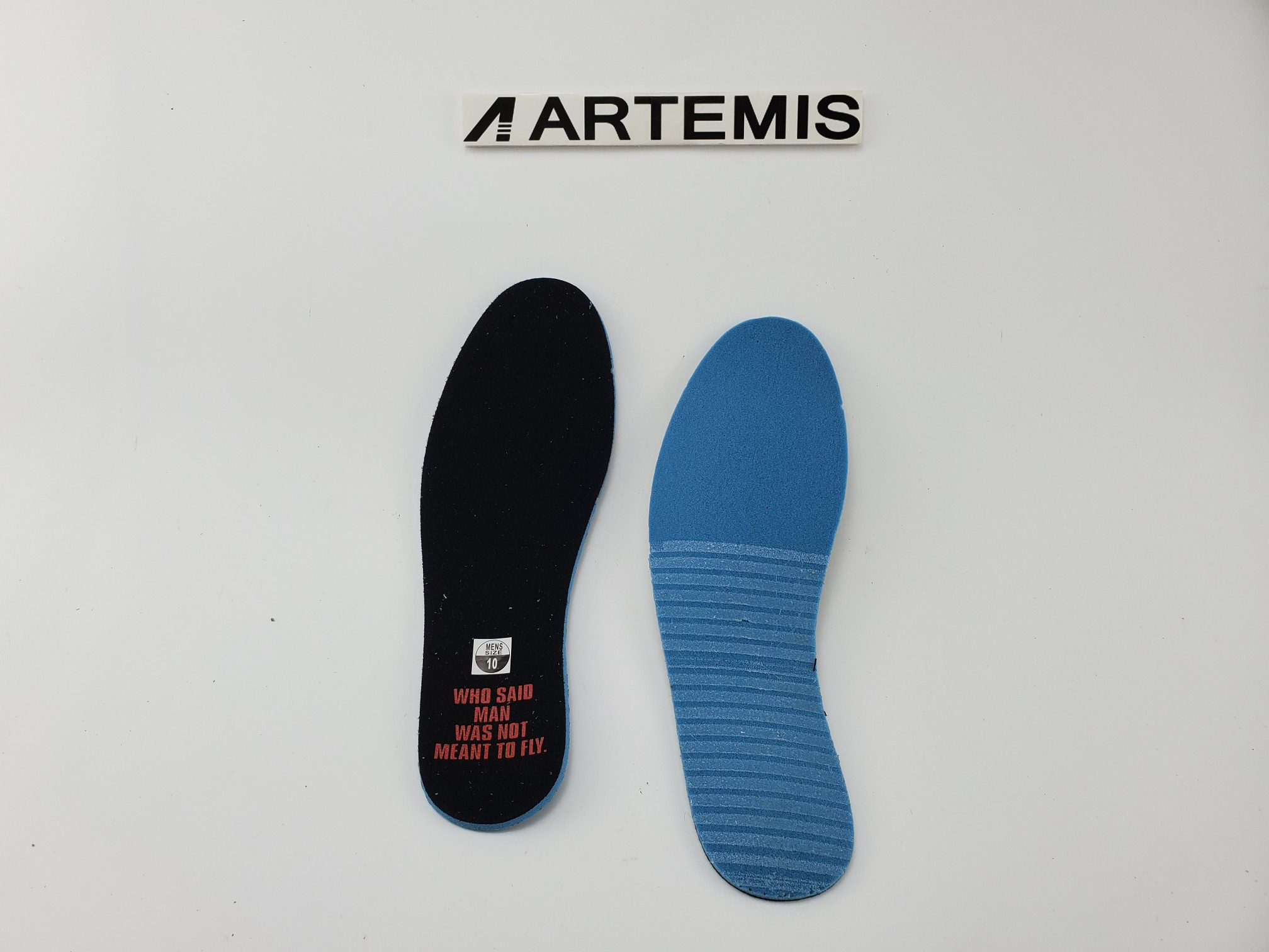 Air Jordan 1 High "Meant To Fly"